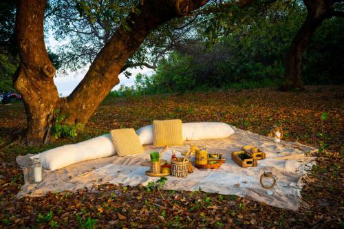 Foto Alexandre Suplicy